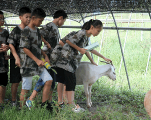 军事夏令营有哪些安全保障呢？