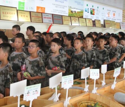 军事夏令营能够解决孩子的哪些问题