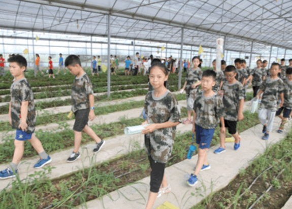 小学生夏令营有哪些特点